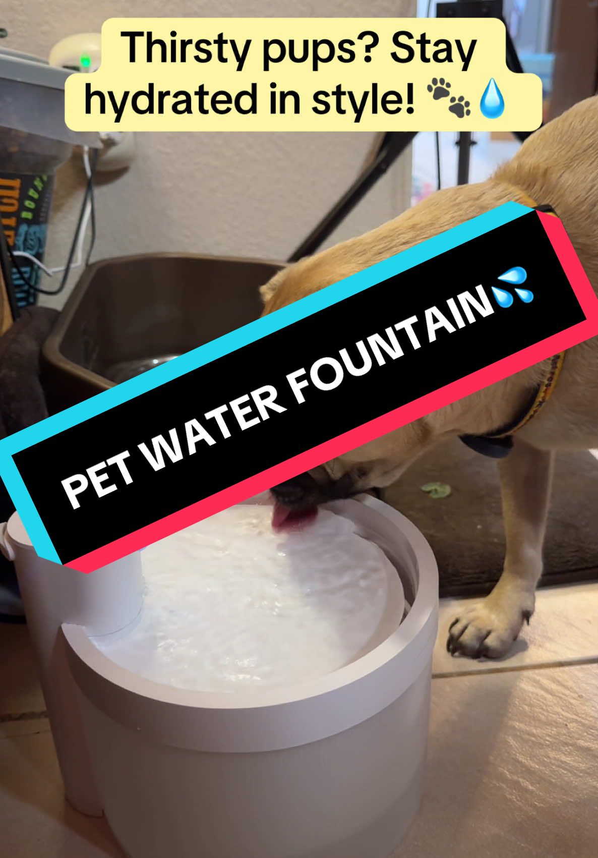 🐾 Keep your furry friends hydrated with this Smart Wireless Pet Water Fountain! 🌟 100-ounce large capacity, 60-day battery life, and advanced 5-stage filtration ensure clean, fresh water anytime. Dual-sensor technology makes it smart and efficient—perfect for busy pet parents! 🐶🐱 On sale now—LIMITED stock! Don’t wait, shop today! 🛒💧 #TikTokShopHolidayHaul #SpotlightFind #GiftGuide #HolidayDeals #NewYearNewAura #mademyyear #PetEssentials #SmartPetFountain #HydratedPets #PetParentLife #DogLovers #PugLife #BoxerLover #WestieLove #FurBabyCare #PetAccessories #HappyPets #PetLifeStyle #DogMom #DogDad #PetLovers #PetGifts 