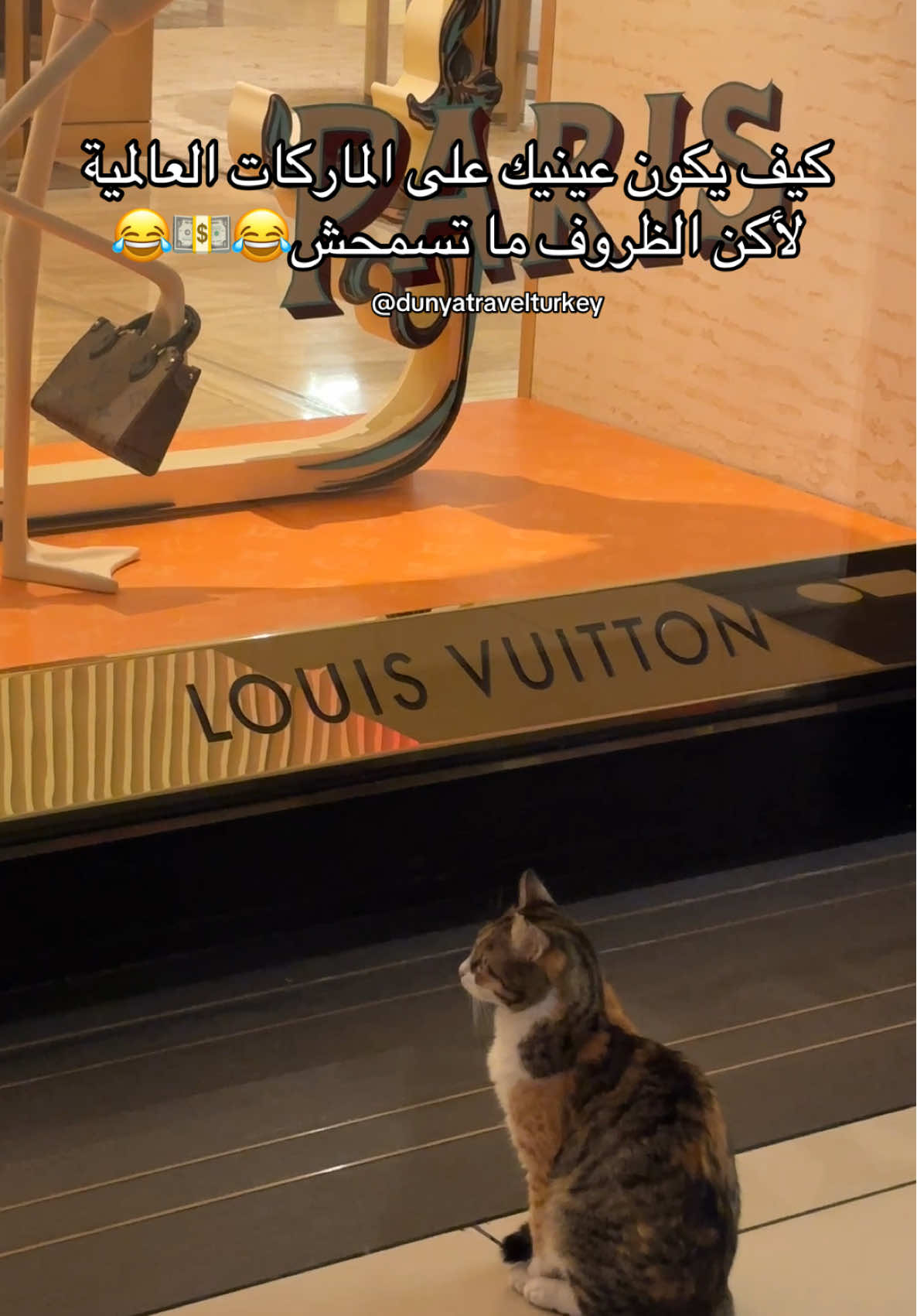 حالتي مثل القطة في حد زيي 😂😂😂 #louisvuittonlover #cat #قطط #ضحك #اسطنبول #تركيا #اكسبلور #اكسبلوررررر #سياحة #ترند_تيك_توك #السعودية #العراق #تونس #الجزائر #ليبيا #ترند @Louis Vuitton 