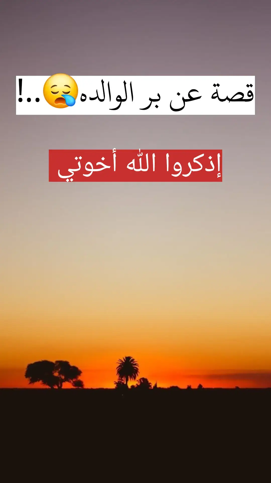 #ذكرالله #الأم #الأب #صلوا_على_رسول_الله #explore #ArabTikTok #الوطن_العربي #islam 