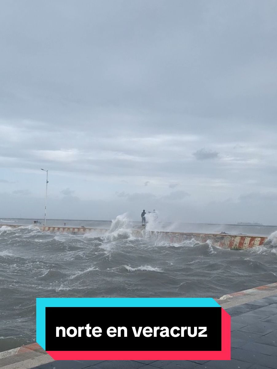 así es el norte en el puerto de Veracruz  #Veracruz #puertodeveracruz #veracruzpuerto #norteenveracruz #disfrutaveracruz #mar #olas 