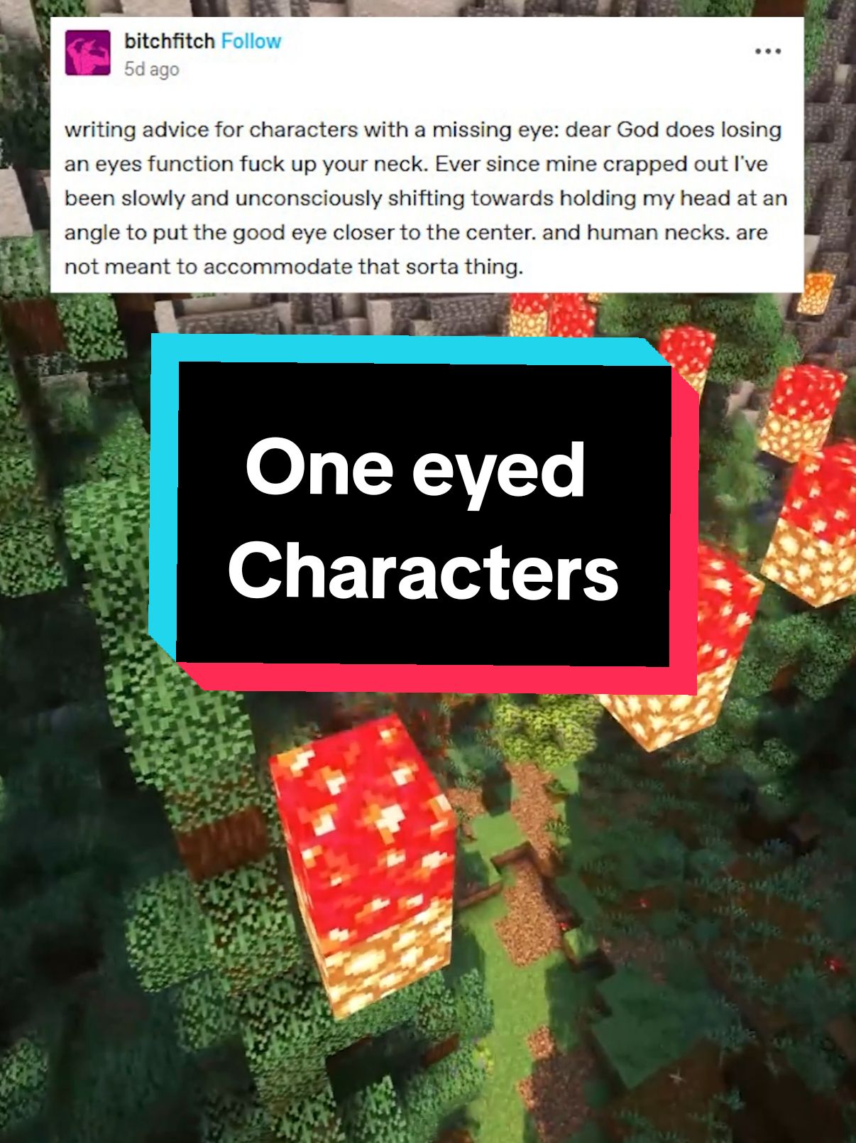 writing advice for one eyed characters  #qna #tumblr #funny #storytime #writing #fanfic 