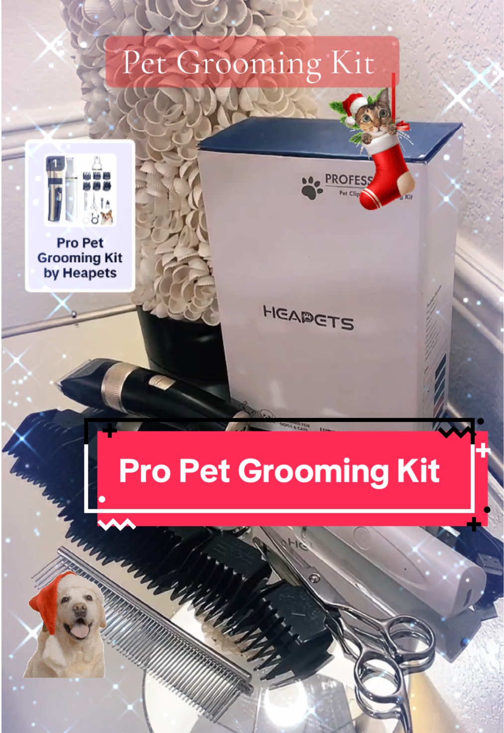 #kitty #heapets @Heapets Official #doggrooming #petgrooming #petgroomingkit #cats 