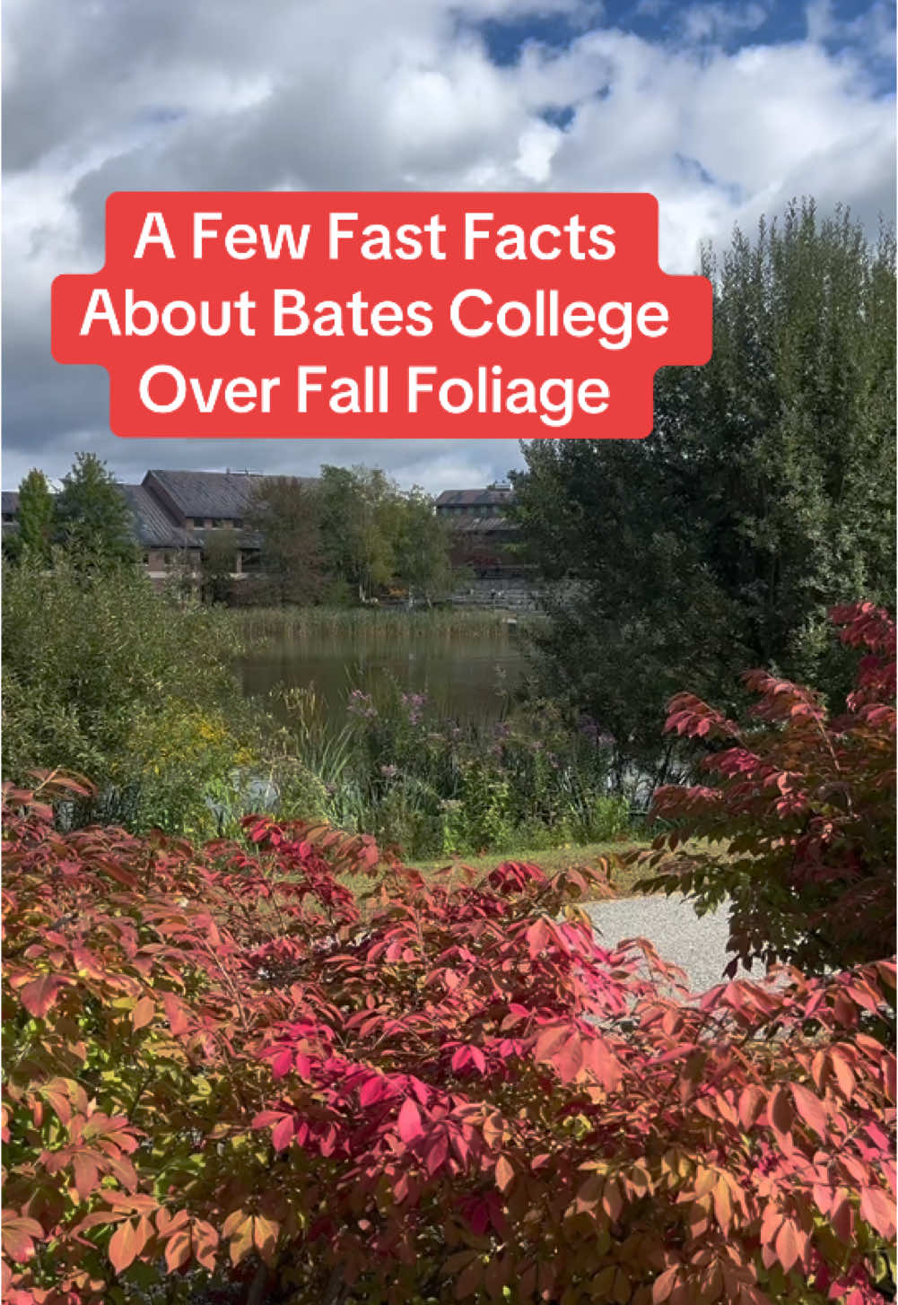 Want some fast facts about Bates? Enjoy a quick 1 minute info session at a glance over some scenes of campus fall foliage. #batescollege #fastfacts #college #liberalartscollege #applyingtocollege #collegeadmissions 