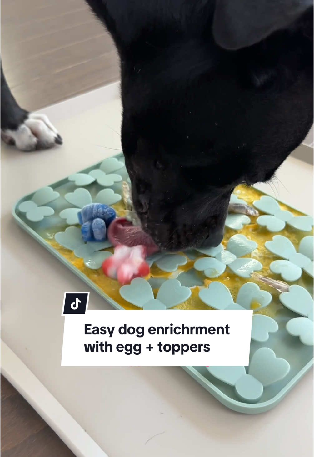 Litterally took me 2 minutes to prep this enrichment activity #dogenrichment #enrichmentfordogs #snufflelickmat #snufflemat #lickmat #homemadedogtreats #frozendogtreats #mealtoppers #emerypets 