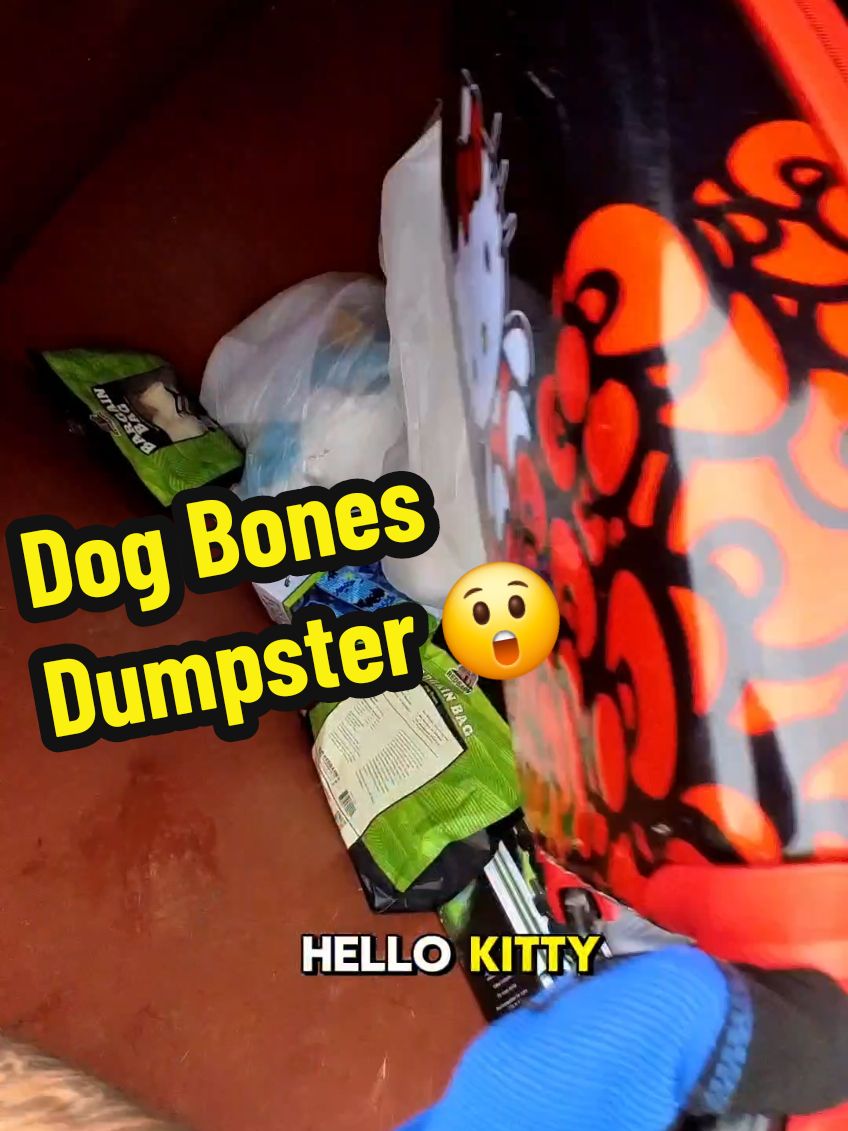 Hello Kitty dog bones in a dumpster. I get free Toys for Christmas 🎄 in the trash! #dumpsterdiving #dog #toys #hellokitty 
