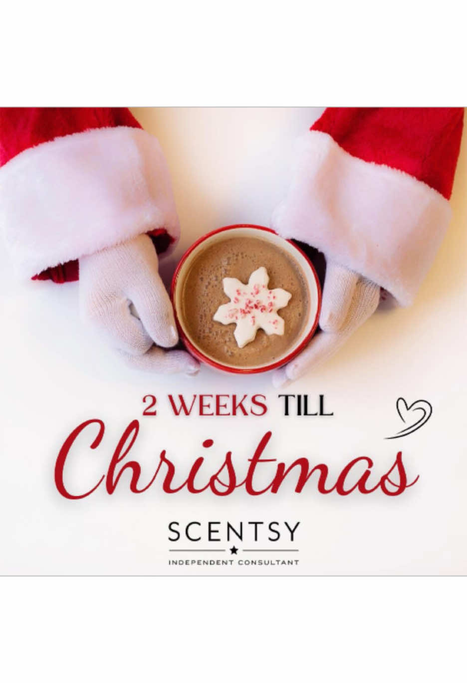 You read that right! Just 2 weeks til Christmas. Is all your shopping done? Order before December 16th to receive by Christmas. If you are not sure what to order, message me and let me help!  #christmastime #presents #scentsy #santaiscoming #smellsgood #fragrances 