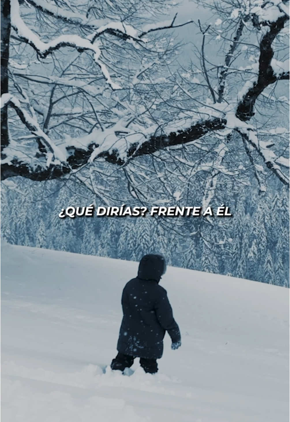 ¿Qué dirías frente a el?  #navidad #vastagomusic #felicesfiestas #diciembre #feliznavidad #quedirias #nuevamusica