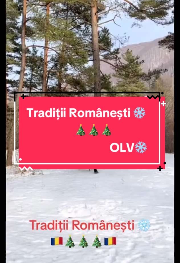 Tradiții Românești 🇷🇴❄️🎄#foryou #foryou #foryou #fyp #viral #fyp 