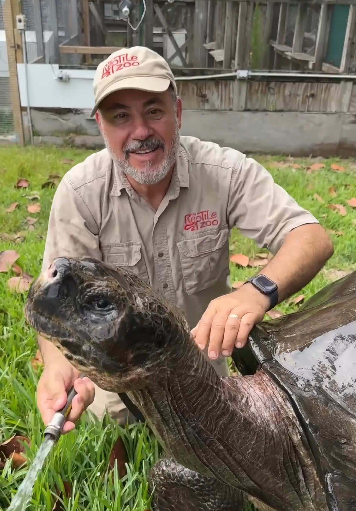 Master OOGWAY?🤩🙌 Adolf is one Spoiled Tortoise🥰 Just like Master Oogway from Kung Fu Panda he is also very ancient😅 He is a whopping 107 years old now and I think I’m a follow in his footsteps🙌 I think neck rubs might be the key to living a very long and healthy life😁 Hope everyone is having an amazing start of the week and ready to eat as much as possible on thanksgiving🦃😋 • • • #giant #animals #beautiful #sweet #galapagos #tortoises #insta #reels #wow #cool #reptile #style #moment #tortoise #reelsvideo #amazing #animals #fun #clean #wholesome #video #moments #tik #tok #tiktok #tiktokanimals 