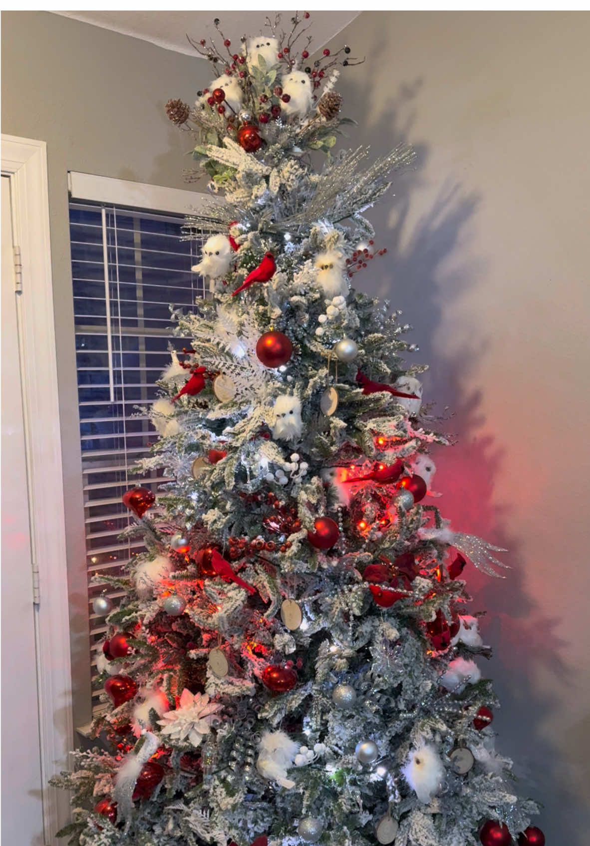 This year the grandkids helped add all the accessories. I love it! @GoveeUS @Govee ##christmastreedecorating##christmastree##cardinals##whiteowls##silversparkles##prismaticornamentsfrom ##target##goveechristmaslights##govee##fyp##christmastiktok##christmas2024##flashnsparkle@@Jay O'Brien@@CrystalGotSwitched