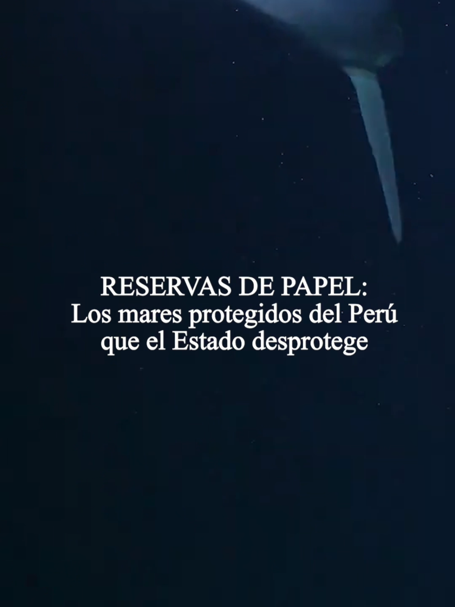 🌊 ¿Qué esconden nuestras reservas marinas? 🐟 Un descubrimiento impactante que pondrá en tela de juicio la protección de nuestros océanos. 📉 🔎 Mañana en EL FOCO y CONNECTAS. #ReservasDePapel