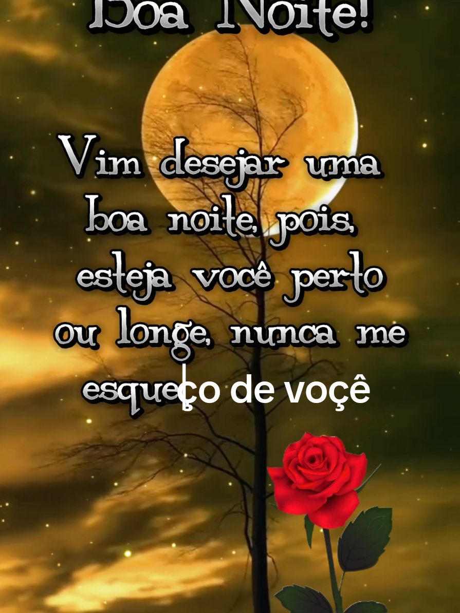 Bia Noite! Não Me Esqueço De Voçê 🌙✨️ 💫  #CapCut #Tiktok #Boanoite #longeouperto #naomeesqueco #devoce #lindanoite #abencoadanoite #boanoiteamigos #boanoiteatodos #boanoitemeusseguidores #boanoiteamigosdotiktok #mensagensdeboanoite #mensagensdecarinho #mensagenscristãs 