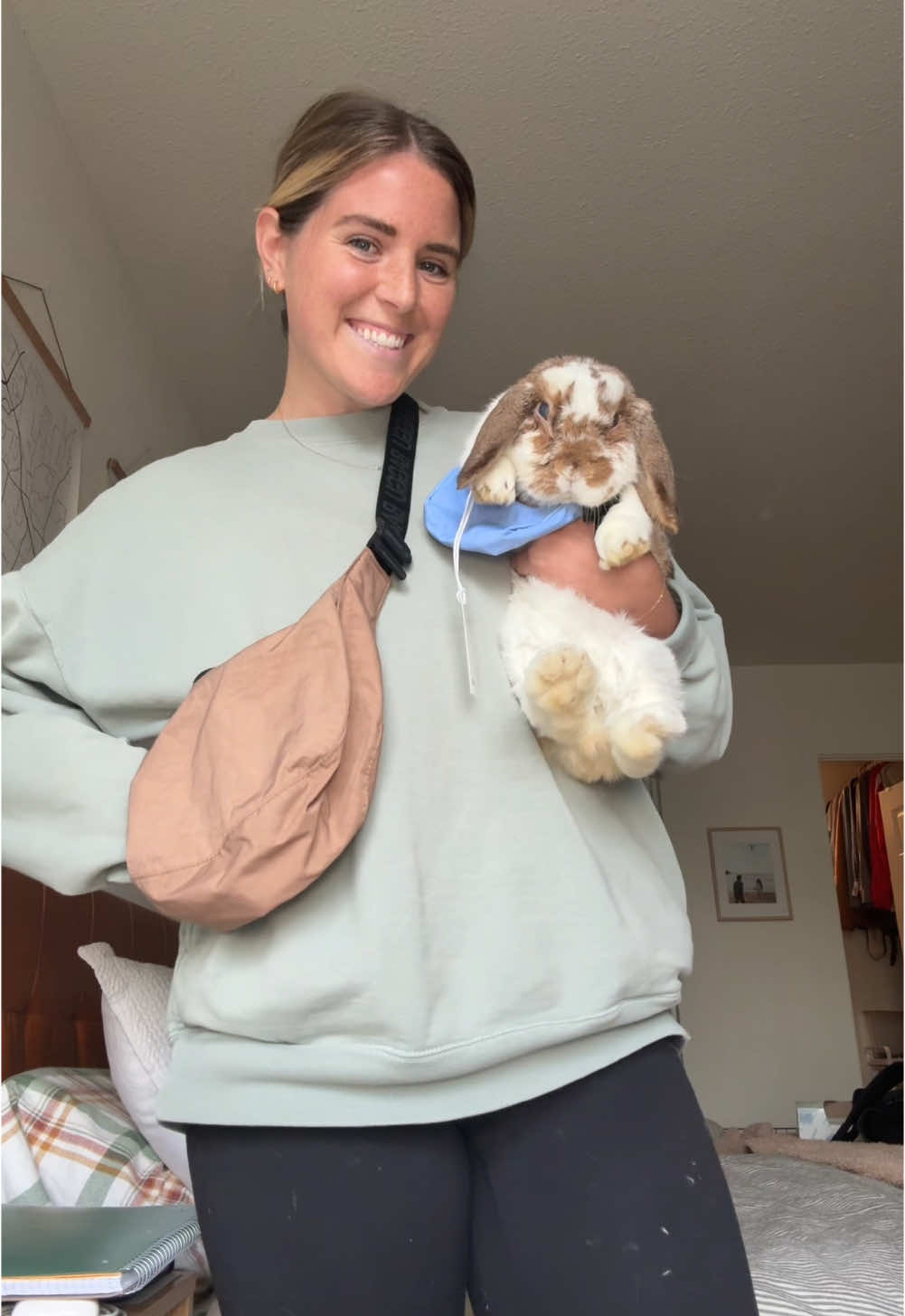 @BAGGU i cant say he is a fan but i sure am #bunnytok 