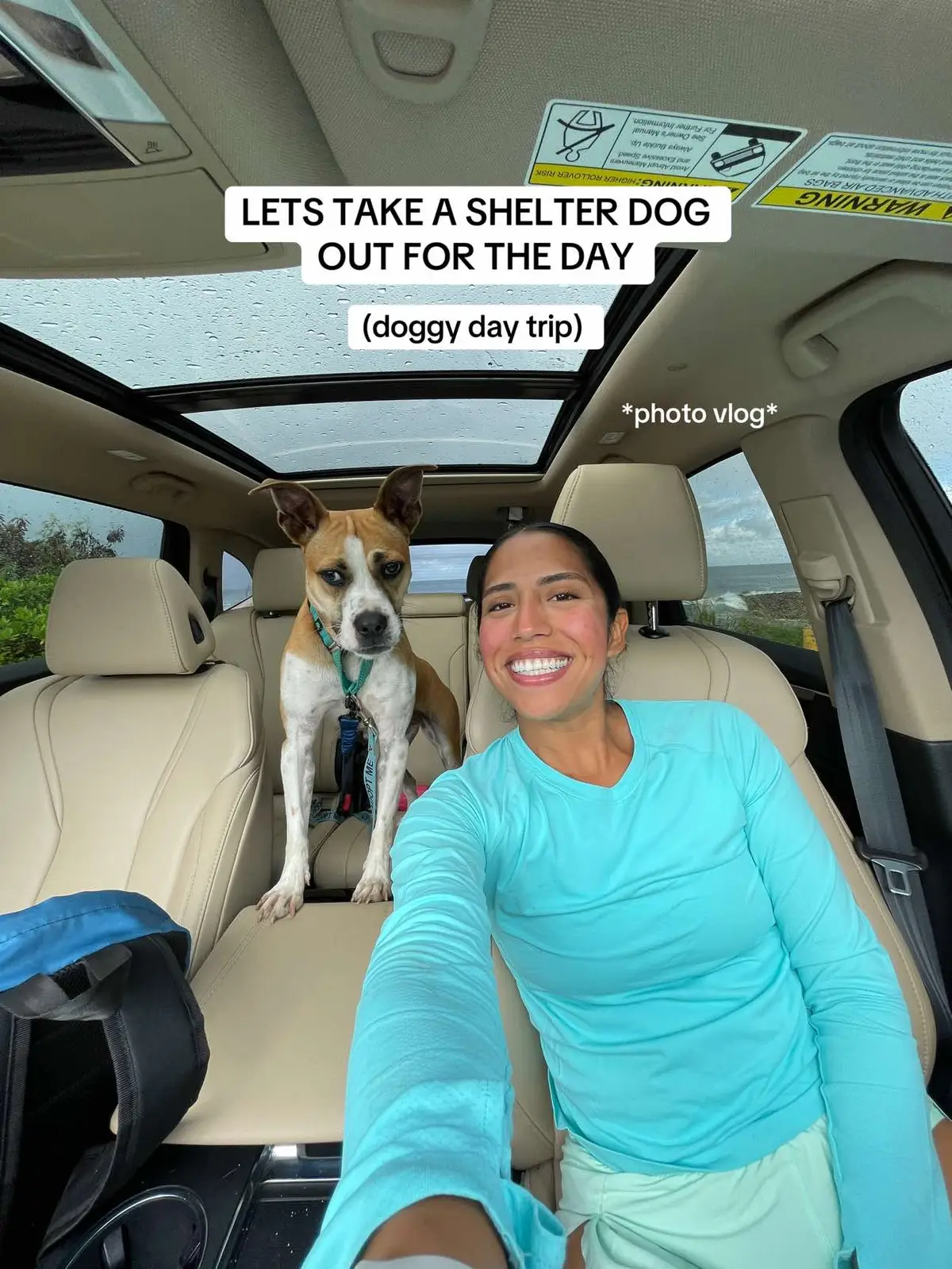 lets take a shelter dog out for the day, meet Lucy 🐶 . . #shelterdog #shelterdogsoftiktok #adoptadog #shelter #dogtok #adoptme #diml @OahuSPCA 