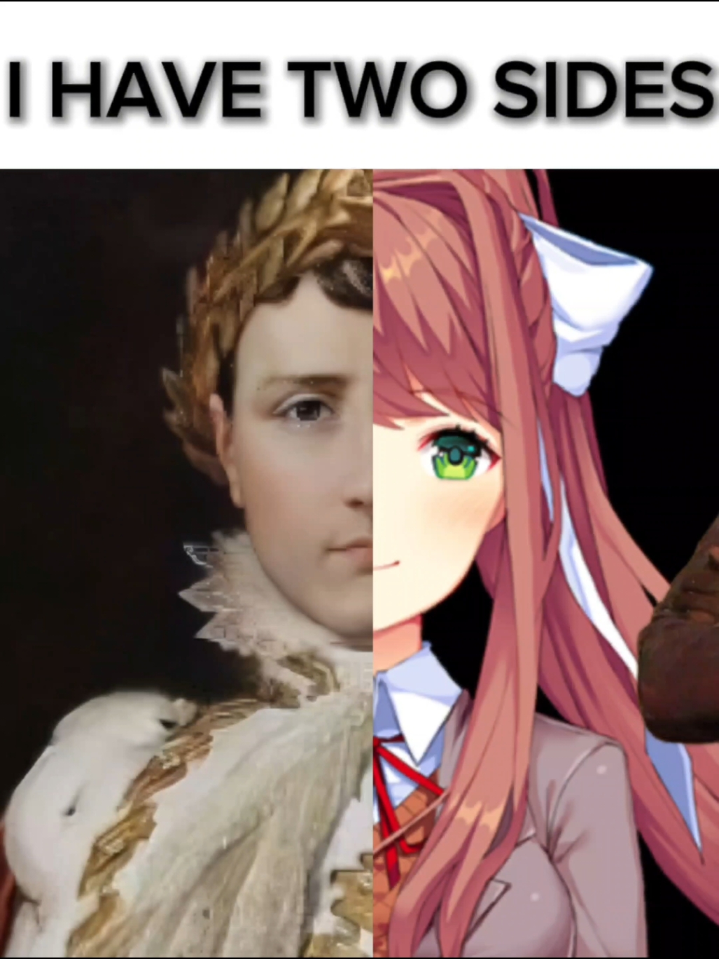 Moggers #NAPOLEON #MONIKA #ddlc #mogger #fyp #pourtoi #historyedit #history #edit #france  #monikaddlc 