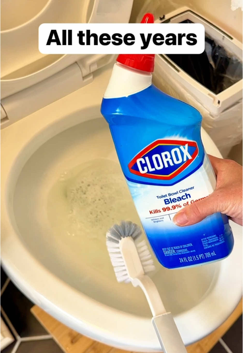 Close seat to dry toilet brush #bathroom #toilet #cleaningtips 