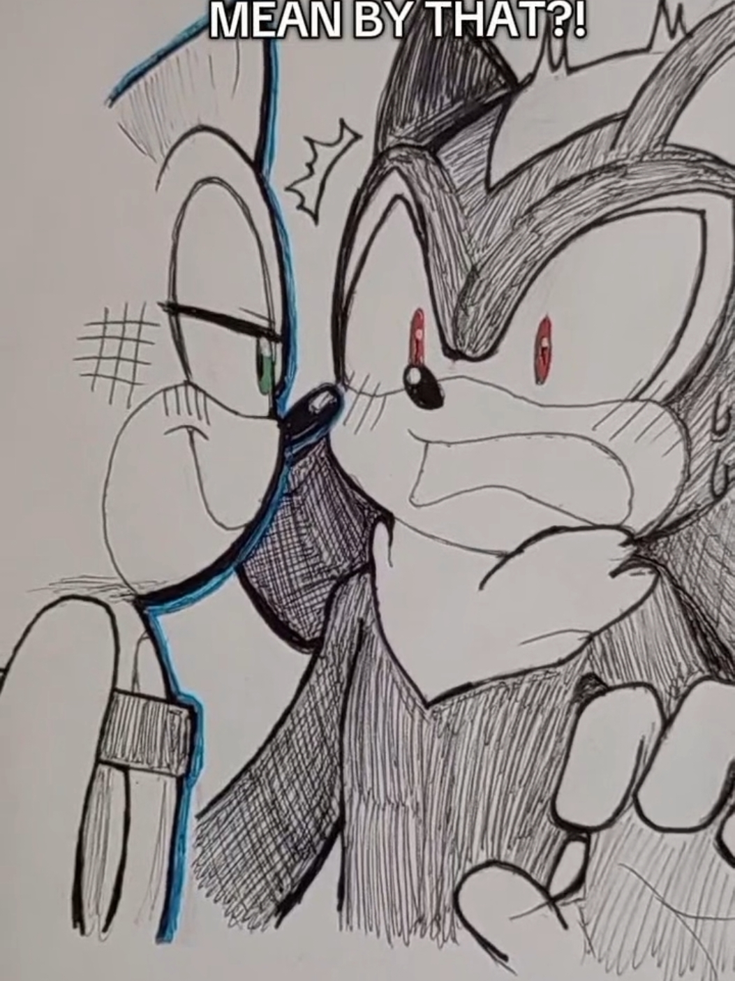 If you need to unfollow me after this I understand cause like what even is this 💀 but honestly I don't know what Shadow expected picking up a hedgehog running around the STREETS all the time ✋🙄 like bsfr #sonicthehedgehog #shadowthehedgehog #knucklestheechidna #sonadow #sonknux #meme #drawing #traditionalart #myart #sonic #sonicxshadow #sonicxknuckles 