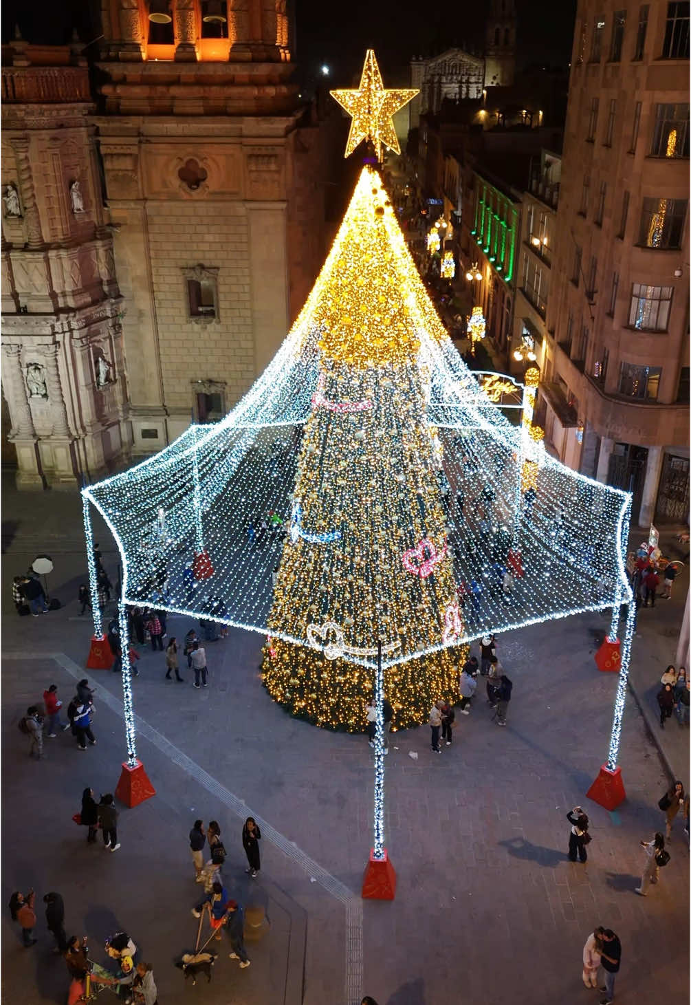 EL ARBOL DE NAVIDAD MAS BONITO DE MEXICO #parati #slp #sanluispotosi #sanluispotosi🌵🇲🇽 #mexico🇲🇽 #viral_video 