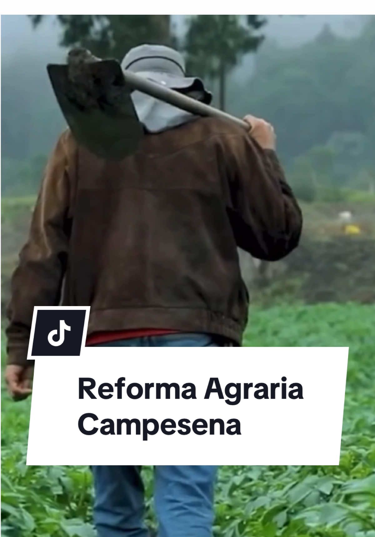 📢 ¡Compartamos porque la prensa tradicional NO LO HARÁ! 🌽👨🏽‍🌾👩🏽‍🌾Esta es la Reforma Agraria que se adelanta a través de programas como CAMPESENA #noticias #colombia #gustavopetro #ecoaneko 