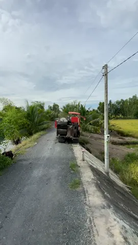 cày kiếm tiền xài tết 🤪#xuhuongtiktok #dc105บ้าพลัง @Văn Thuần @Tường Vy 🌾✈️ @Cậu Ba 105x🌾🌾 @Việt Tường🌾✈️💸 @Quoc Viet Le @62 H-Thắng @Lê Duy 