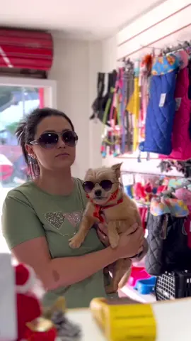 É raro mas acontece sempre 🤣🤣🤣🤣 #banhoetosa #petshop #fyy #curitiba #trend 
