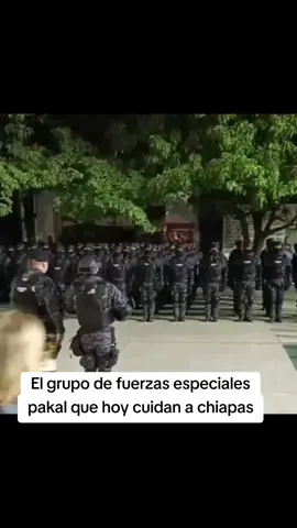 Chiapas seguro