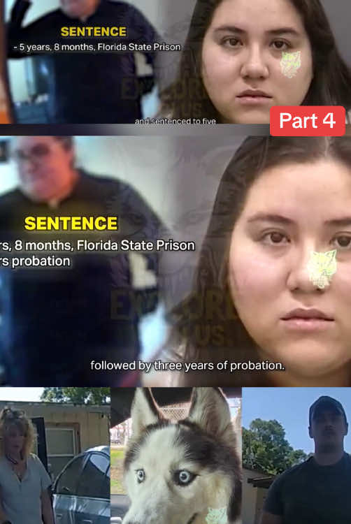 Dog Beater Gets the Surprise of Her Life #cops #police #crime #viral #usa #dogsoftiktok #PetsOfTikTok #husky 