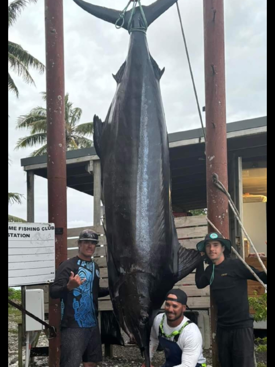 🔥Coming home with a grander! 🔥 . . . . . . . . . . . . . . #food #fishing #marlin #bluemarlin #fishtok #fyp #fy #art #beauty #viral #Summer #commercialfishing #fish #cook  #foryou #grander #tiktok #today 