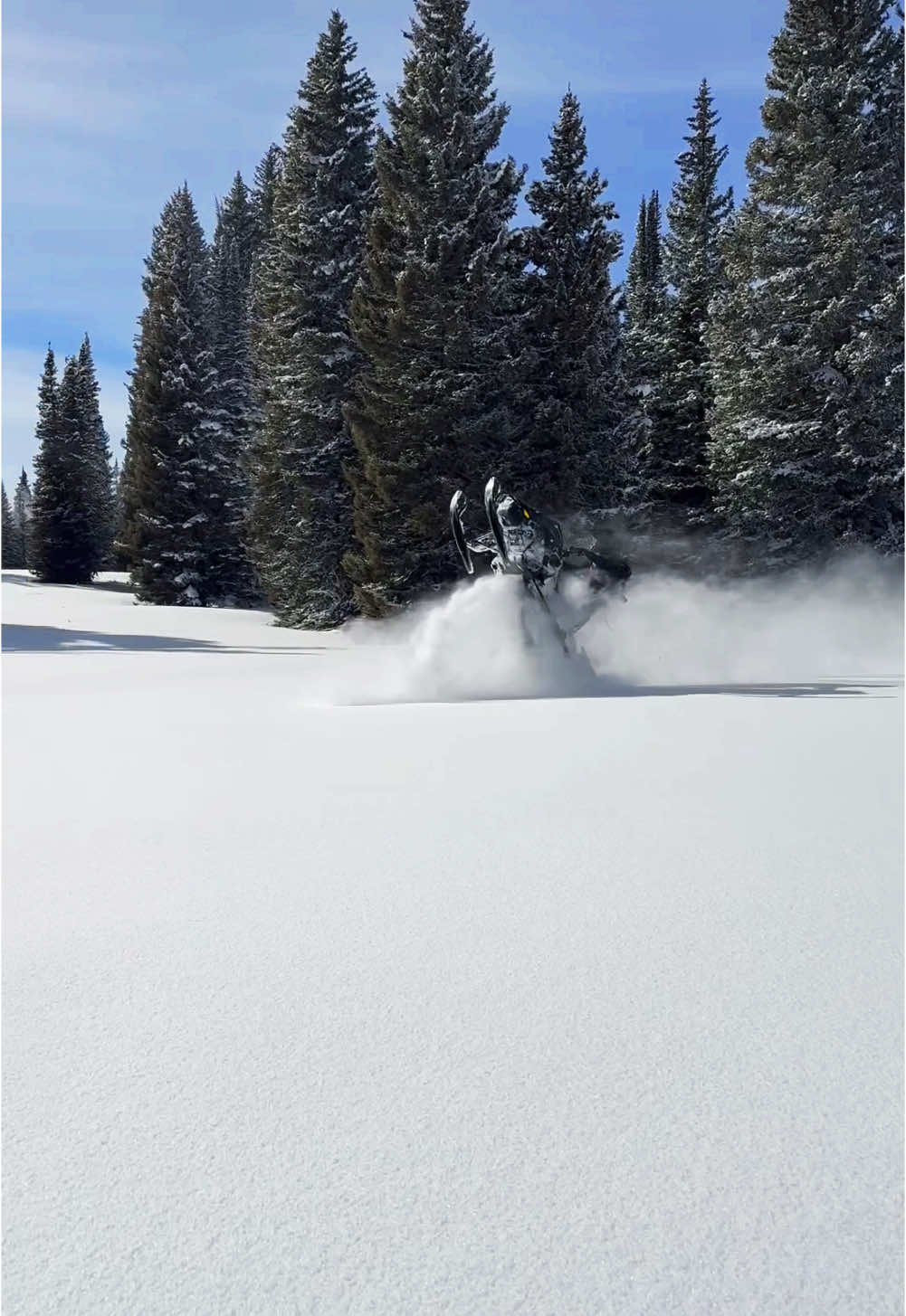 Keeping the skis light on that first ride! 🤘🏼 Excited to see what this season brings. #CapCut #snowmobiles #turbosleds #comeridewithus #winter #powderboundadventures #lightweight #colorado #viral #foryoupage 