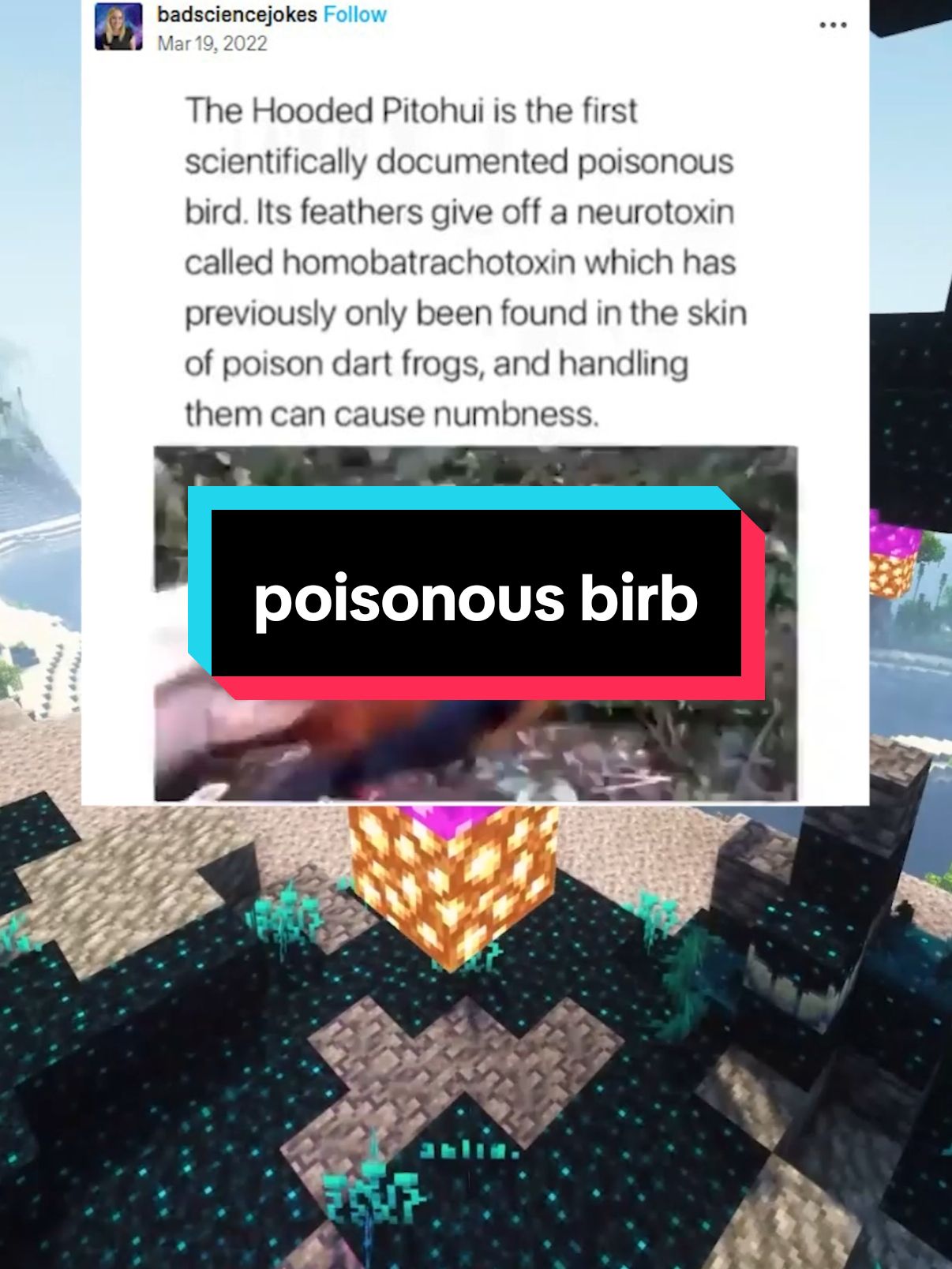 I'd 100% do that too  #reddit #twitter #tumblr #qna #story #storytime #bird #birds #birb #poison #numb #funfacts #interesting #wow 