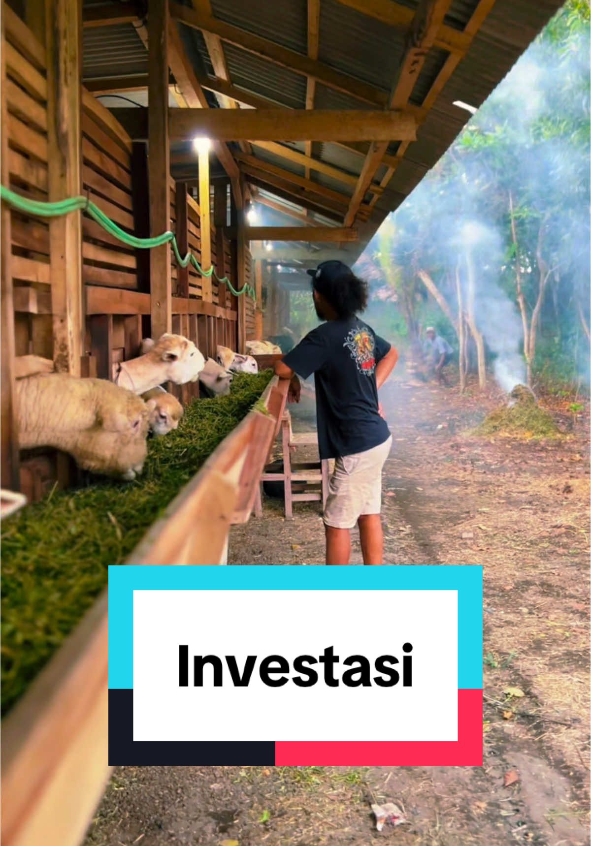 Investasi Pertanian #petanimuda #investasi #pertanian #fuji #rosie 