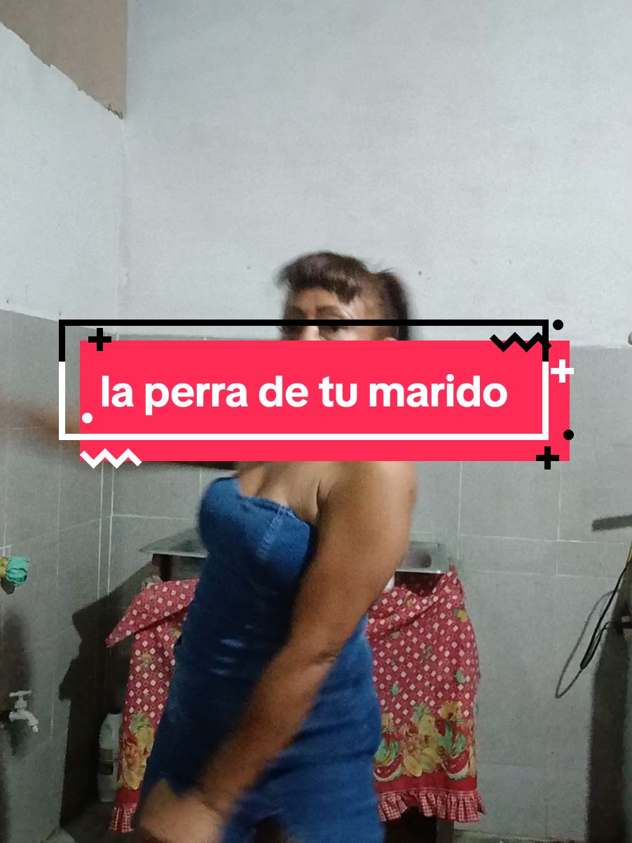 creatorsearchsightsoy la perra de tu marido