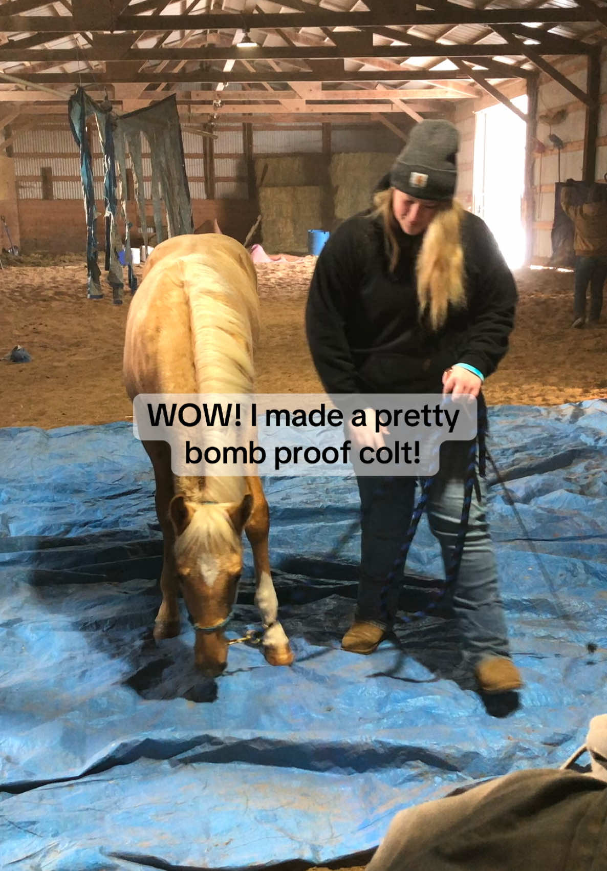 Laughing so we dont cry! All part of the learning process with these babies! Dont forget the “simple” things🤪😂😅 #horsetraining#coltstarting#colt#futurityprospect#aqha#barrelhorse#babyhorse#rodeotok#horsetok  