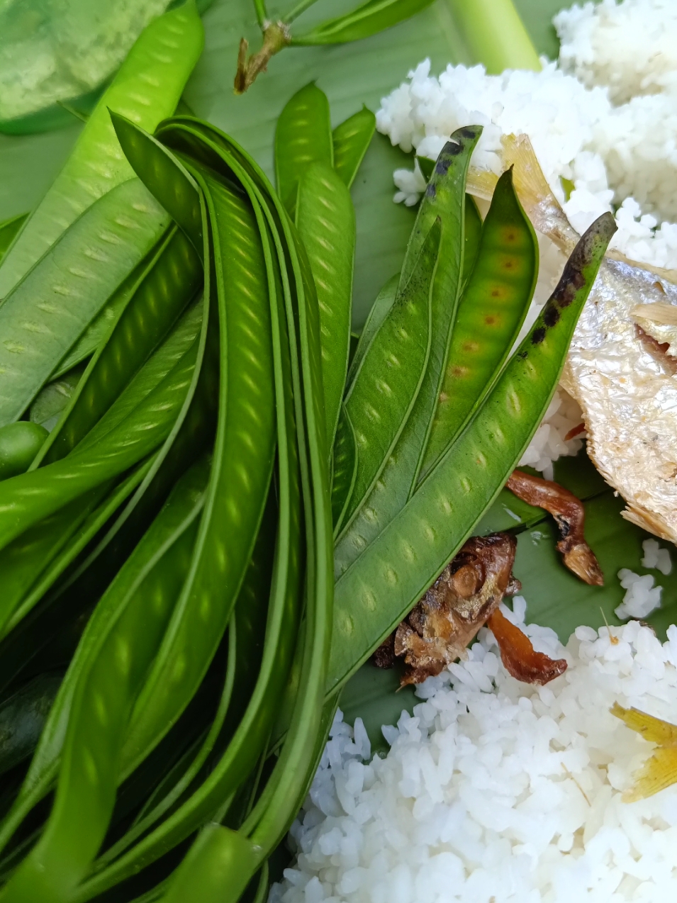 wilujeng tuang wa  #liwet #liwetsunda #sungai #pesawahan #suasanakampung #bolang #lemahcai #kawali #ciamis #jawabarat #suasanadesa #kampunghalaman #kampung #pedesaan #orangdesa #orangkampung #traditionalfood #gunung #mataair #airgunung 
