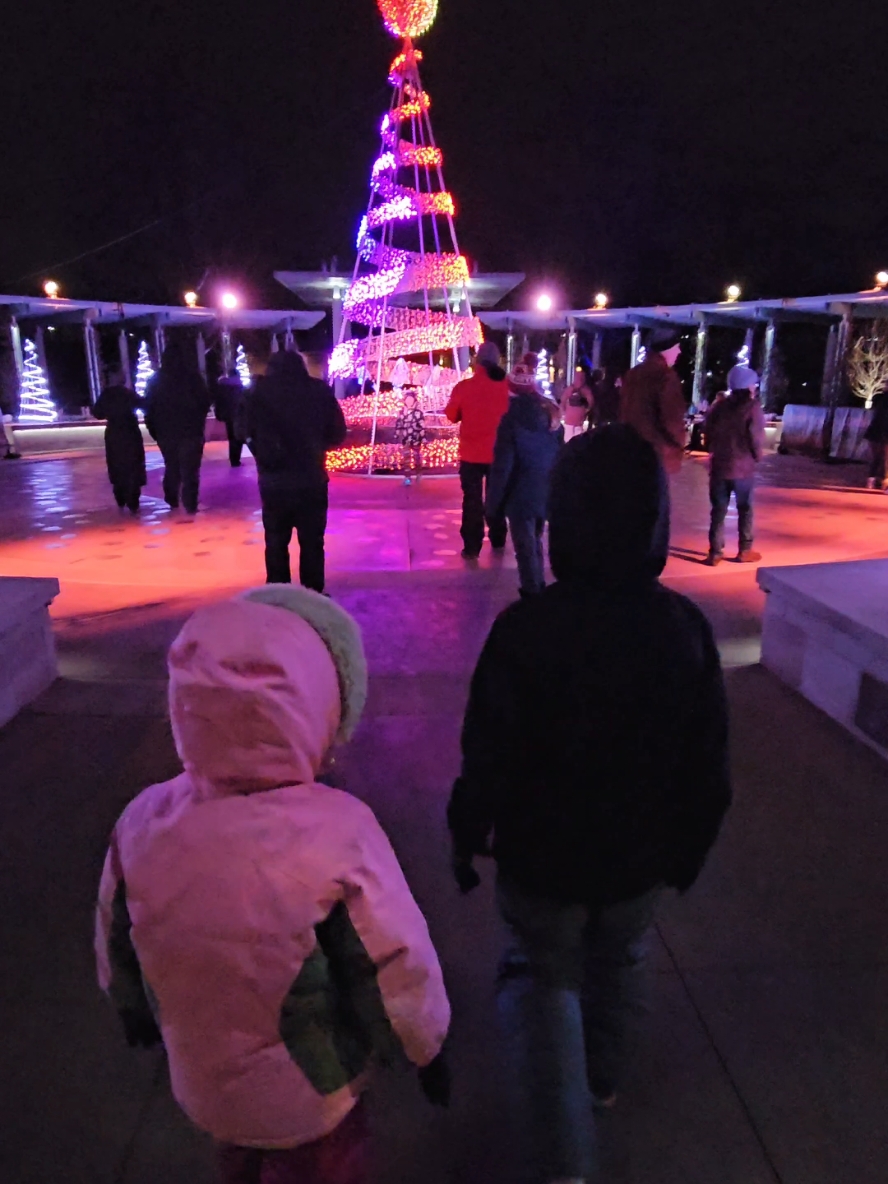 Illumination at The Morton Aboretum in the Suburbs of Chicago #thingstodoinchicago #mortonaboretum #holidaylights #christmaslights #winteractivities #chicagosuburbs 