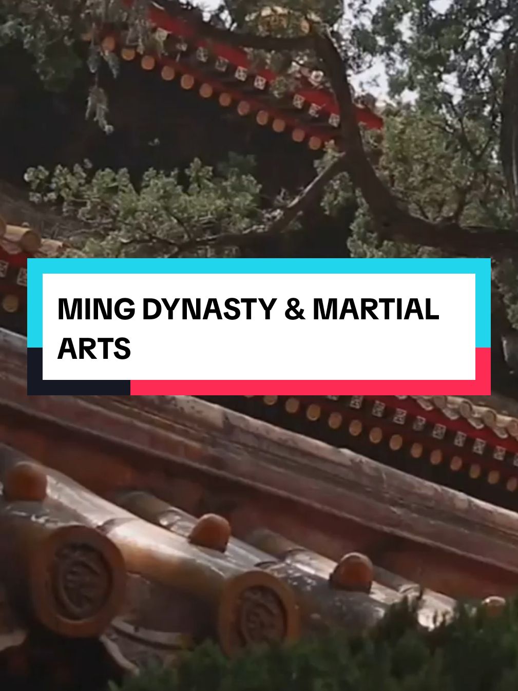 Discover the contributions of Chinese Muslims in this amazing video! #quran #islamic_video #muslim #chinese #martialarts #mingdynasty #bajiquan #hui