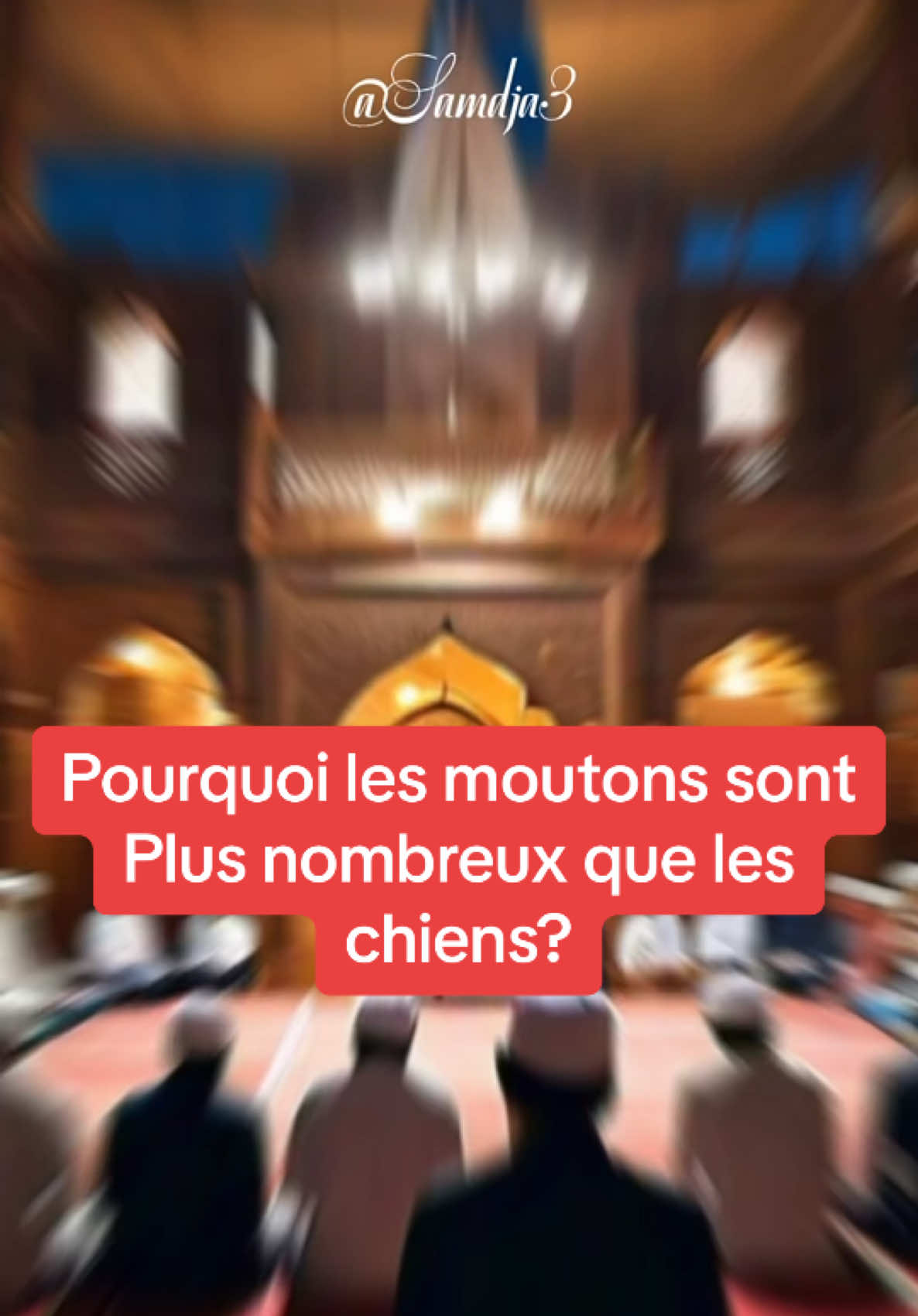 Pourquoi les moutons sont plus nombreux que les chiens? #benediction #viral #foryoupagе #tiktoklongs #CapCut 