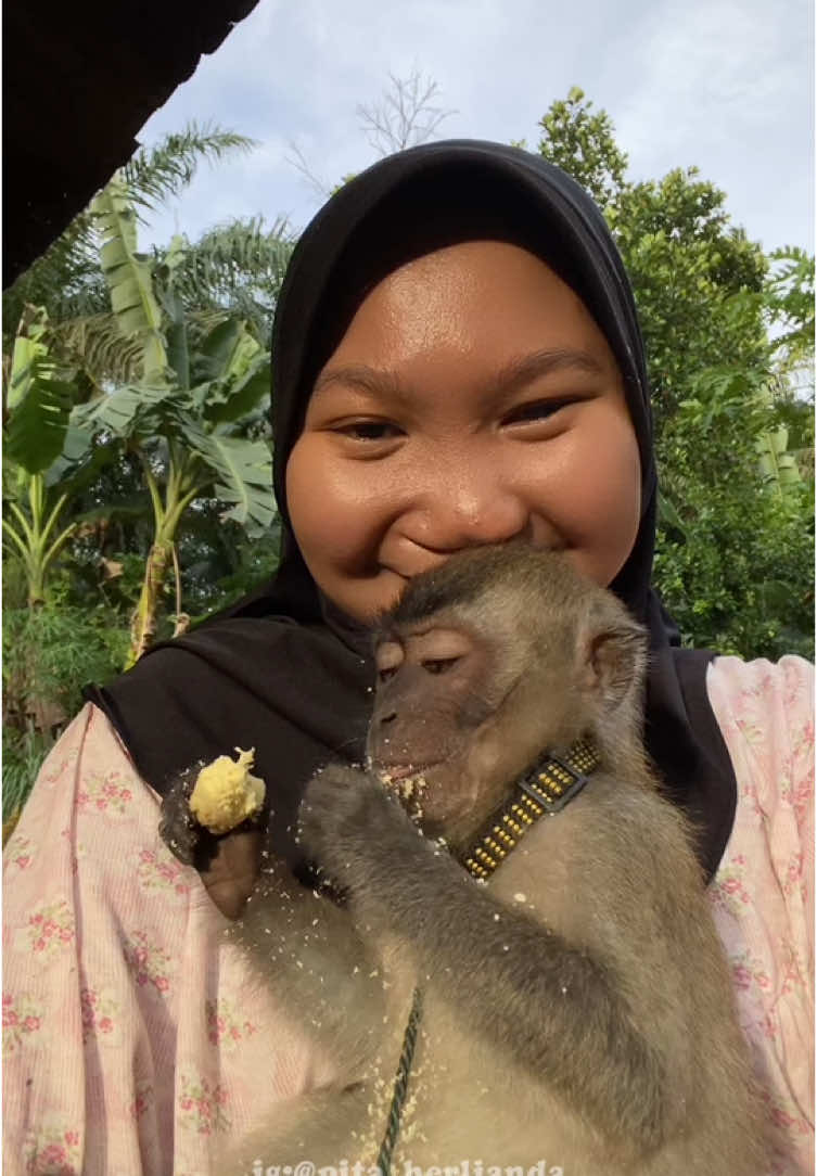 bubur kacang padi🫘🫛 #pitaahrld #minivlog #buburkacanghijau 