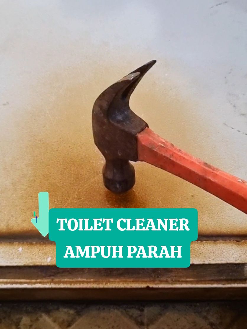 Toilet cleaner pembersih kerak keramik well 😊 #cleaner #pembersihtoilet #pembersihkamarmandi #toiletcleaner #megaguncang1212 