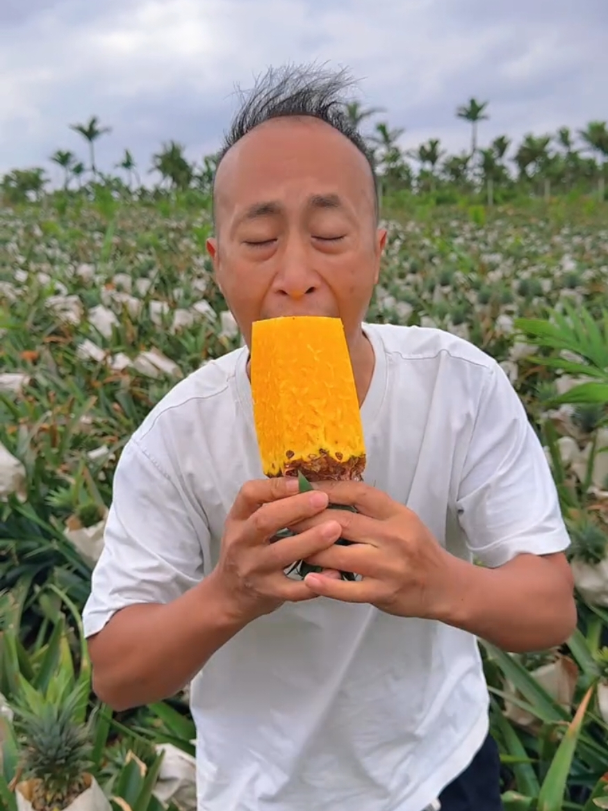 Fresh eating pineapple juice and harvesting activities from farmers #2024 #asmr #nature #top #real #life #pineapple #fresh 