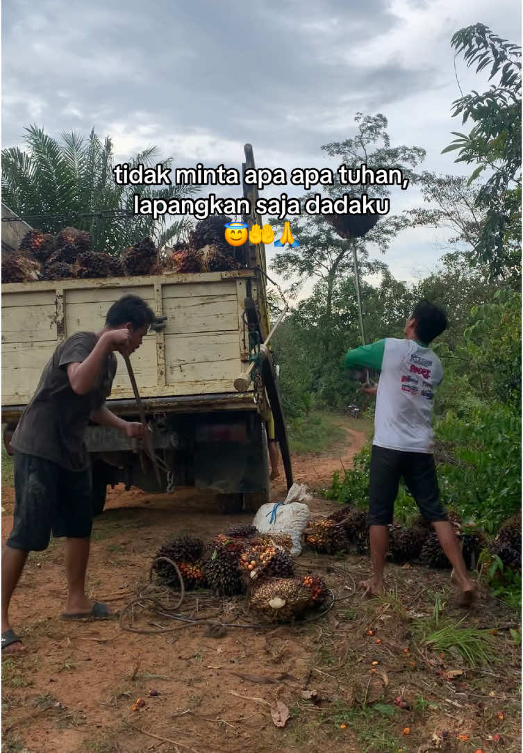 rasa syukur itu mempengaruhi hidup, kurangi gengsimu, tinggikan semangatmu #xyzbca #fyp #petanisawit 