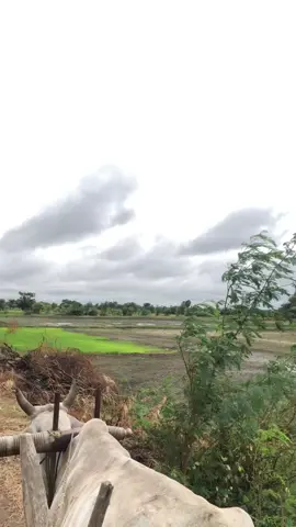 မထင်ပါဘူး🙂#myz #myanmar #iphonex #တောသားလေးပါဗျာ #တောသားလေးတေကိုချစ်ကြည့်ပါ😅😊 #မိန်းမရတော့မယ်မထင်ပါဘူး #အိမ်ကလူတေ 