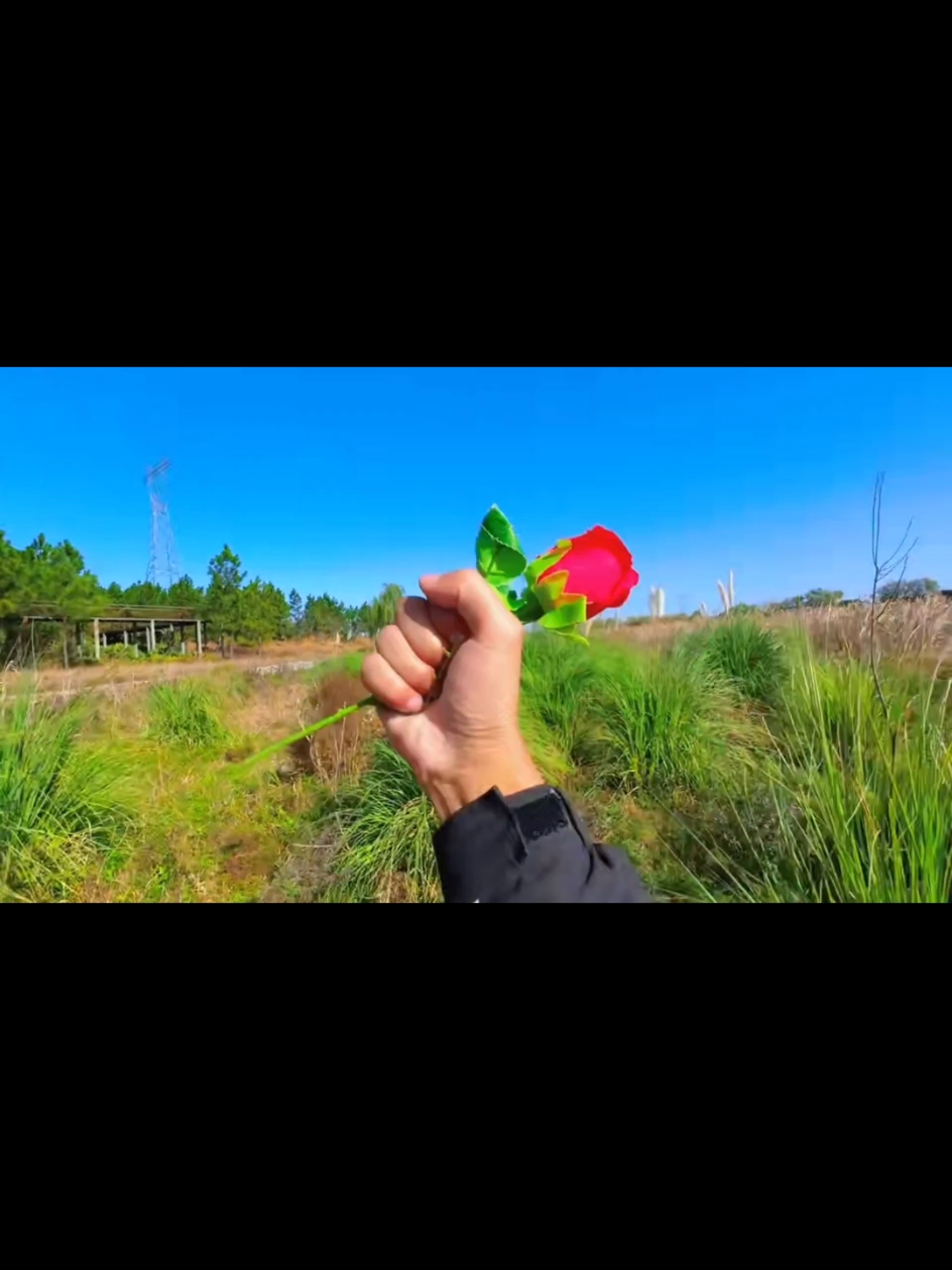 Trả lời @xuan_my09.08 Chiều tà ngồi giữa tinh không. Ngẫm suy một kiếp long đong vô thường. Đã từng một nắng, hai sương. Bước qua biết mấy dặm đường phong ba. #chien23388 #haihuocvuinhon 