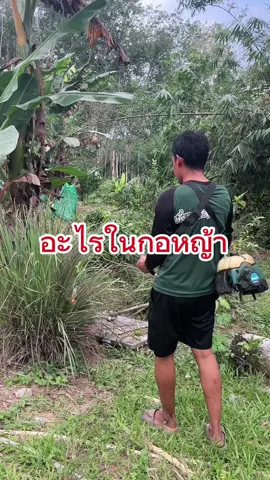ว่าแล้วต้องใช่แน่ๆ #เคี่ยมชาวสวน #เคี่ยมชาวสวนตรัง #วัยรุ่นทำสวนห้วยยอด #คนไทยเป็นคนตลก #คลิปฮาๆขําๆ 