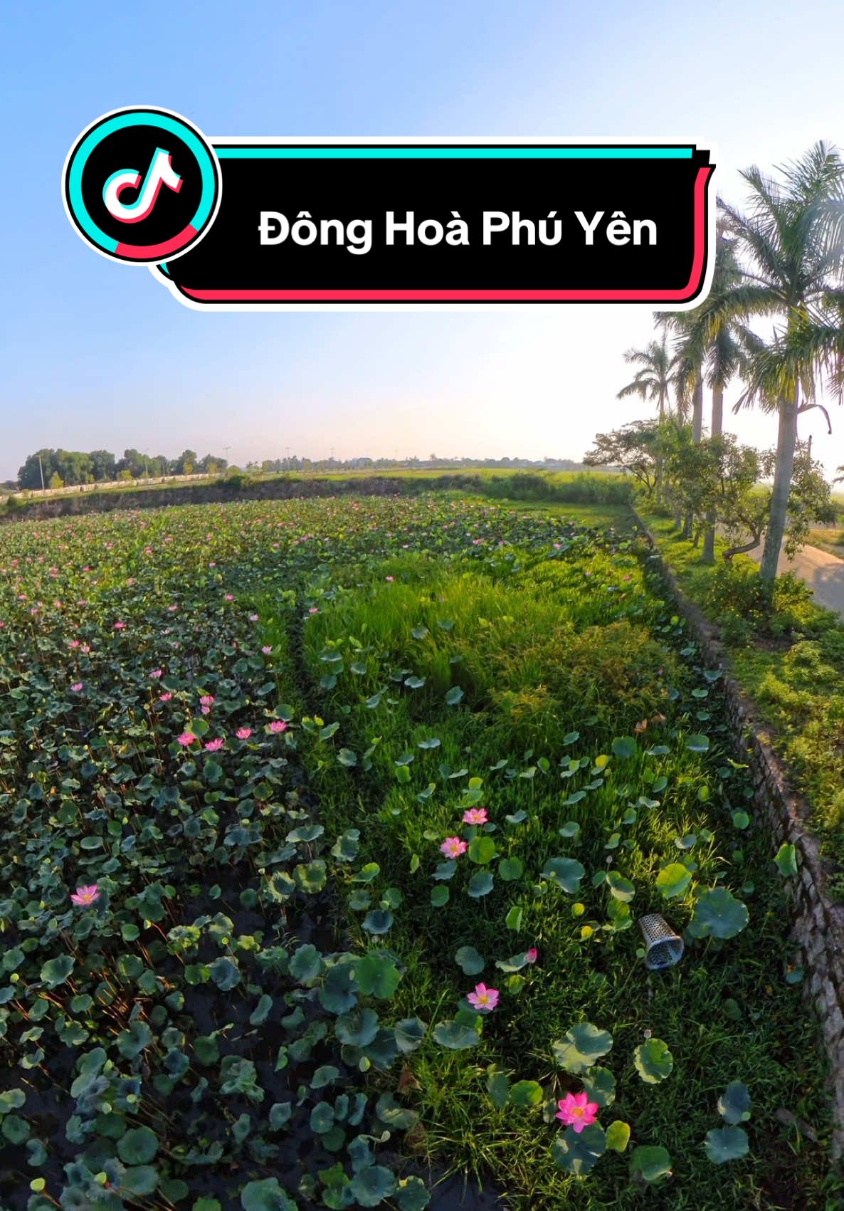 Du lịch Phú Yên kiểu :  Ngày 1 : phía Nam thành phố ( Đông Hoà )  Ngày 2 : phía Bắc thành phố ( Tuy An ) =)) P/s : ráng đợi hết mùa mưa để lại được la cà rong chơi, ngắm bình minh ở Mũi Điện - Đông Hoà, Phú Yên #xuhuong #phuyen #dulichphuyen #donghoa #donghoaphuyen #muidienphuyen #haidangdailanh #honnuaphuyen #nuidabiaphuyen #daphanphuyen 