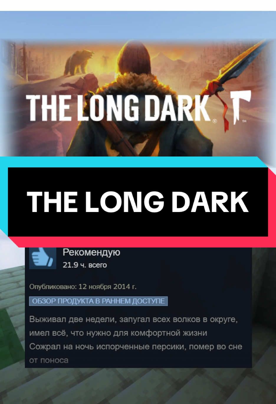 Отзывы в Steam о игре The Long Dark #отзывы #стим #steam #tiktok_collaboration #thelongdark 