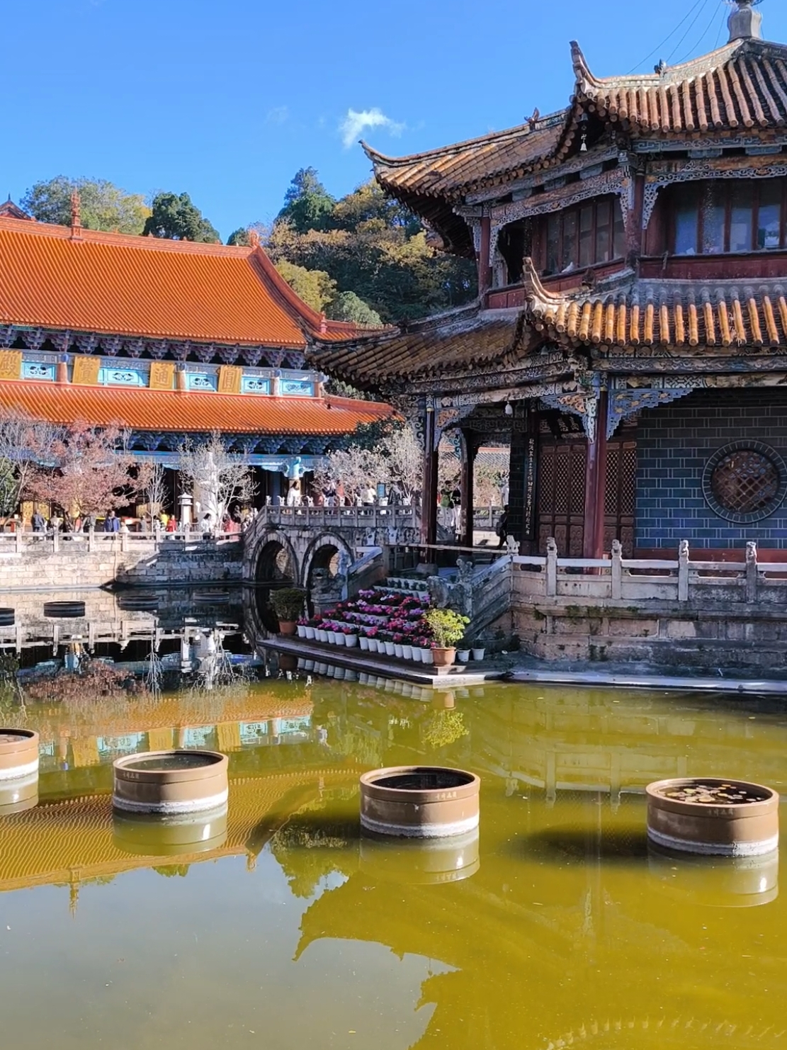 A can't-miss in Kunming 😍🏯 Yuantong temple in Kunming, Yunnan, China  圆通禅寺， 昆明， 云南 🇨🇳🪷 #中国 #云南 #昆明 #temple #圆通禅寺  #yuantong #我爱你中国 #chine #yunnan #voyage #travel #chinaa 