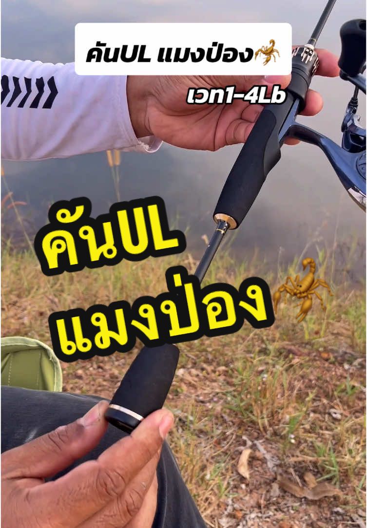 คันULแมงป่อง #คันulแมงป่อง #คันulscorpion #คันเบ็ดul #คันulตกปลา #คันulสวยๆ #คันเบ็ดตกปลา #ตกปลา #fishing #ราคาดีทุกวัน #รีวิวปังราคาล็อค #tiktokshop1212 #tiktokshop1212ลดใหญ่ท้ายปี 