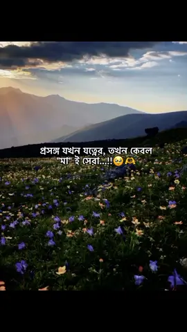 Yeah,,🥹🫶 I Love You Ammuuuu🥹🫶🌷🌹✨🌙⭐#nadiya_officials_07 #foryou #foryoupage #unfrezzmyaccount 