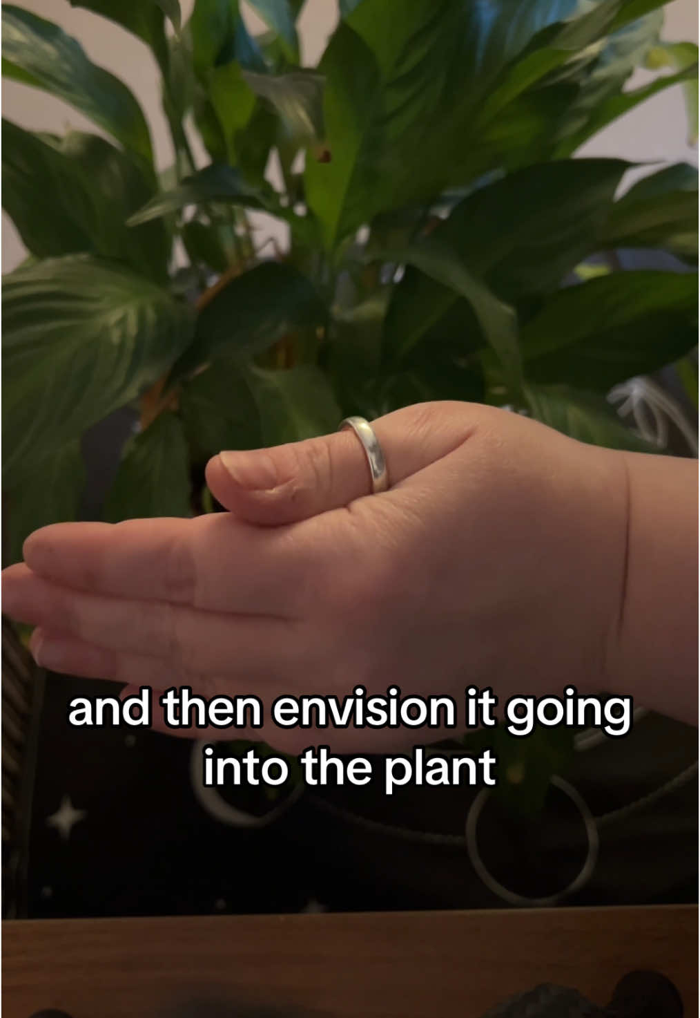 Reiki for plants! Try it, its super simple #reiki #1111 #reikihealing #witchcraft #reikitiktok #messagesfromtheuniverse #gratitude #affirmations #water #spirituality #divineguidance #tarot 